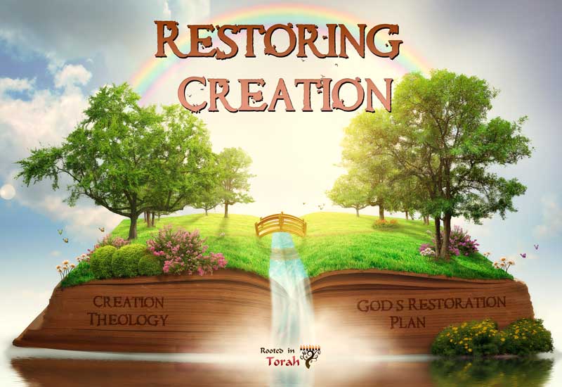 restoring-creation